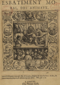 Peeter Heyns, Esbatement moral des animaux, Bibliothèque nationale de France